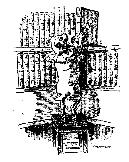 dog-library